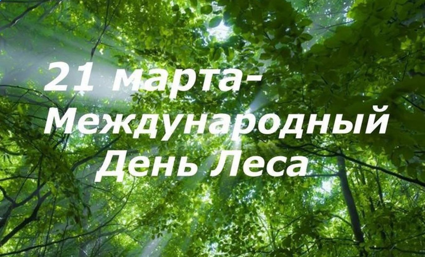 Тематическая программа «Международный день лесов